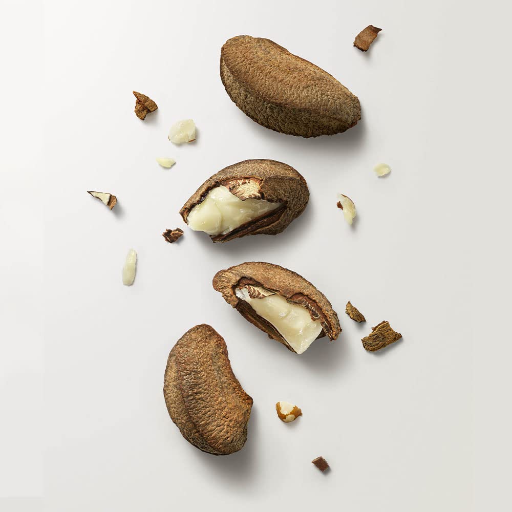 Brazil Nut Car Diffuser / Difusor de Carro Castanha