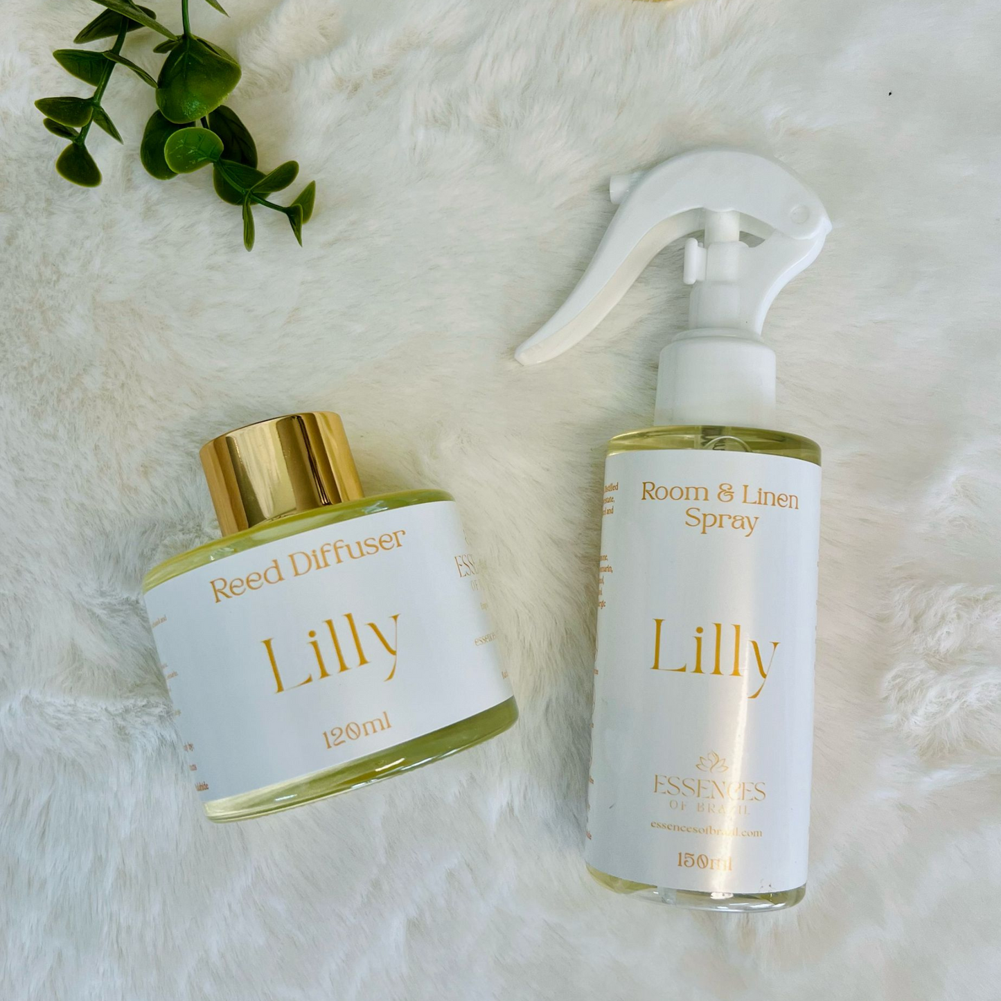 Lilly Reed Diffuser