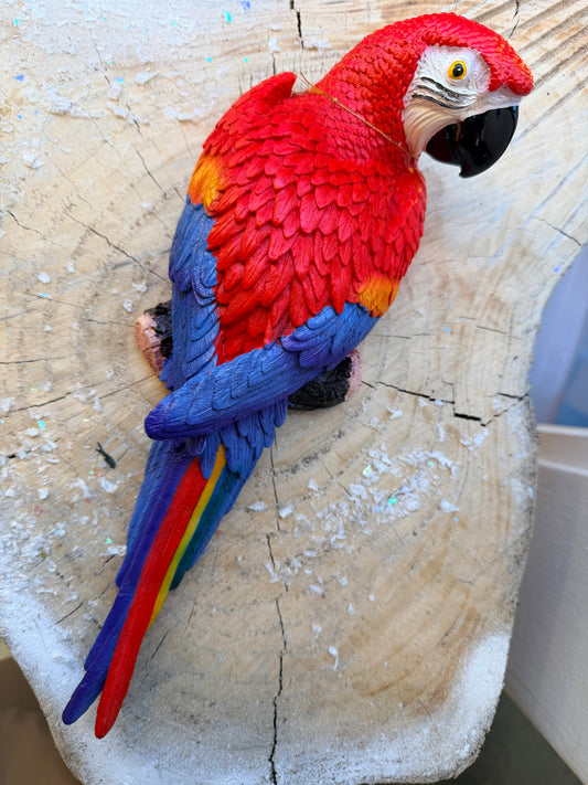 Scarlet Macaw Decorative Sculpture Red  | Arara