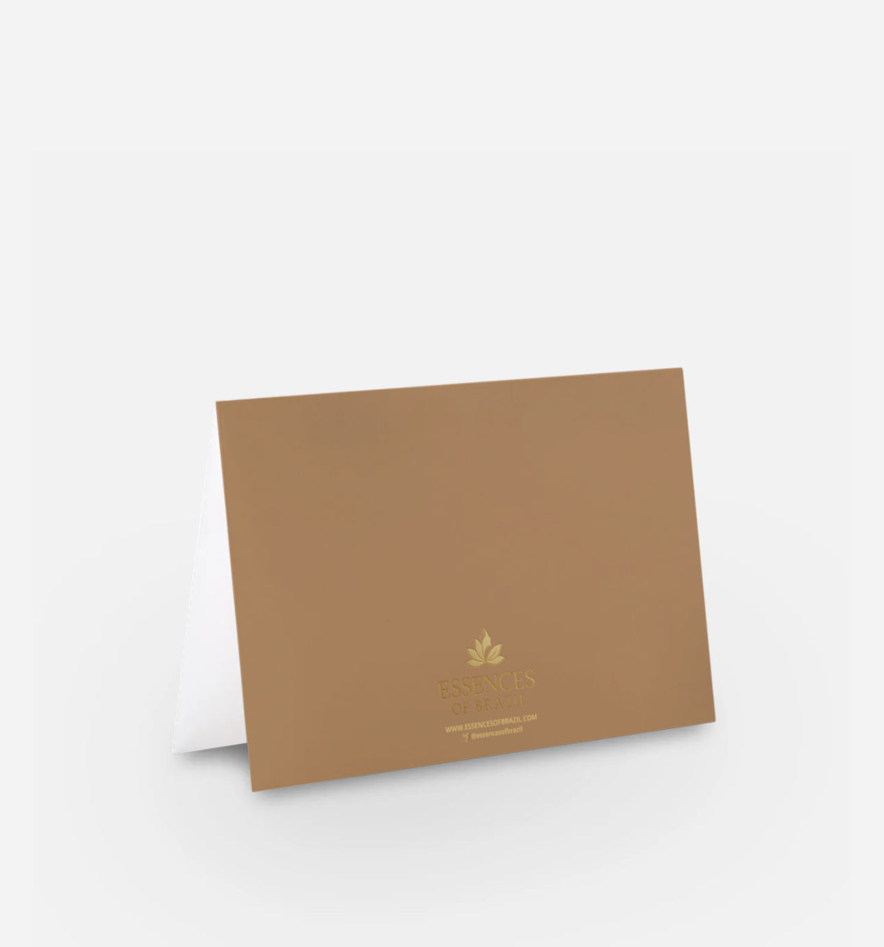 Bilingual Christmas Card (Portuguese & English)