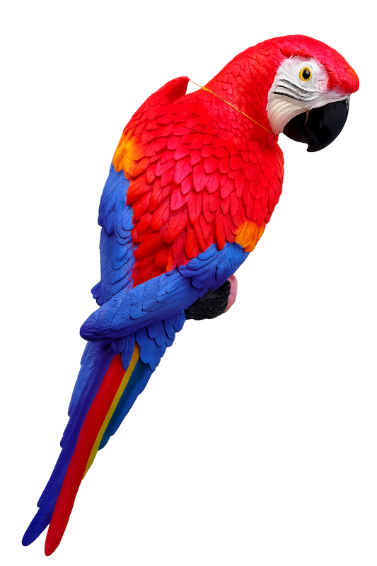 Scarlet Macaw Decorative Sculpture Red  | Arara
